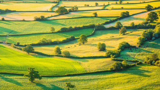 Hedges in England Could Circle the Earth Ten Times