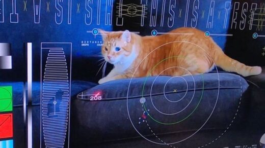 Nasa Uses Laser to Transmit Cat Video from Deep Space