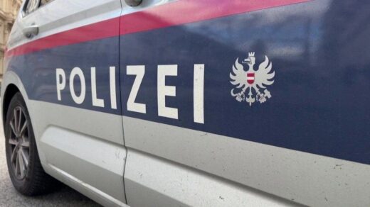 Five Females, Including a Girl, Murdered in Vienna within 24 Hours