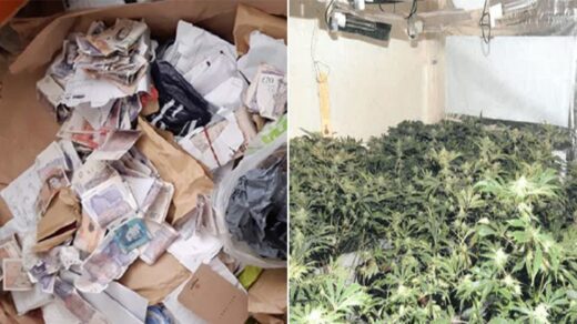 Fraudulent Hull Estate Agent Cannabis Cultivation Gang Imprisoned