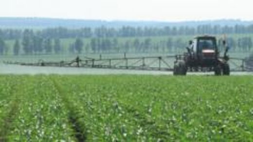 Why Companies are Competing to Produce Sustainable Ammonia