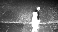 Couple Spotted Near Lake in Surveillance Footage