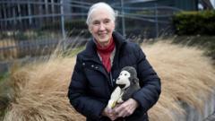 Jane Goodall: Earth faces sixth mass extinction, urgent action needed now.