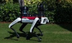 Robot Dogs Guard Mar-A-Lago: No Touching Allowed