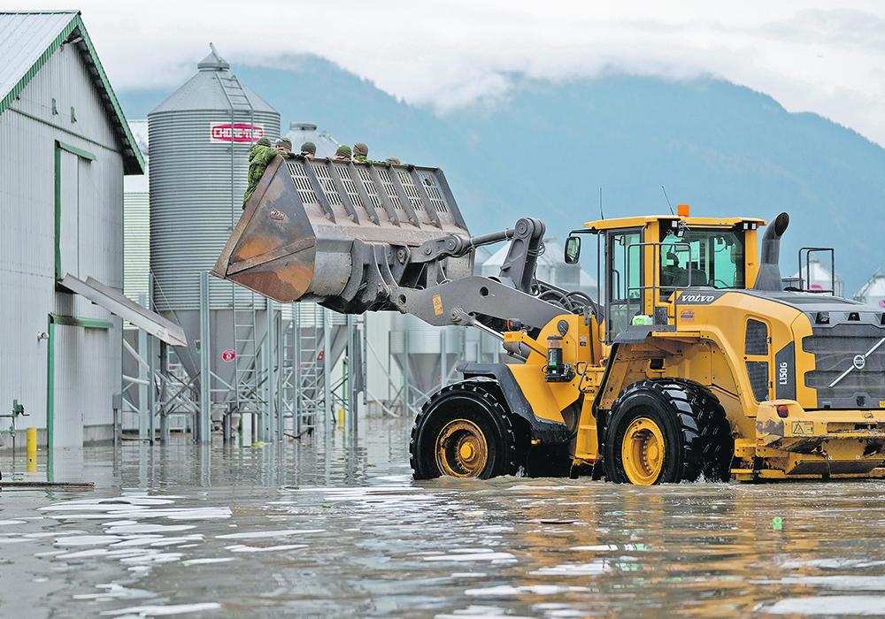 Canadian farmers scramble after staple crop gets devastated: ‘What we’re seeing now is consecutive years of loss’