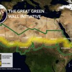 Enormous government project nearly 50 years in the making encircles desert with trees: ‘The Great Green Wall’