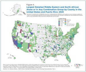 US census data shows how Middle Eastern and Hispanic residents differ in racial identity