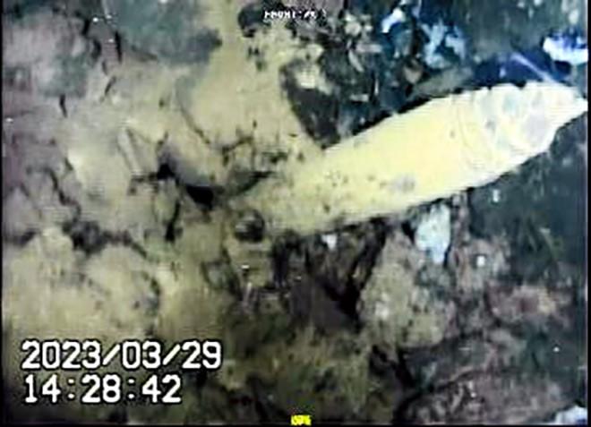 Fukushima: Uranium found in extracted nuclear fuel debris, radiation at 8mSv per hour