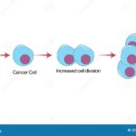 Korean researchers find cancer undo button, turn tumor cells to normal ones