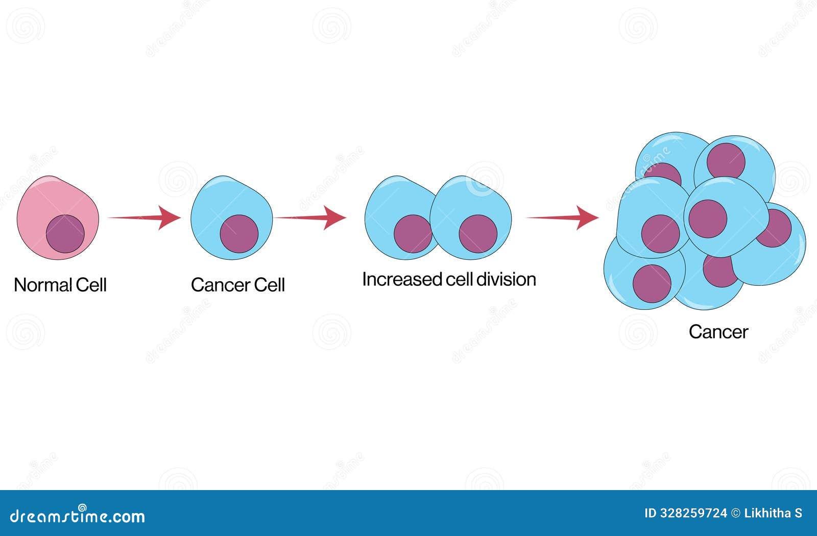 Korean researchers find cancer undo button, turn tumor cells to normal ones