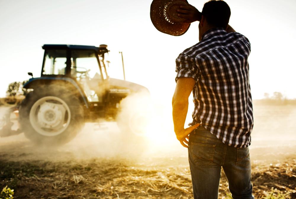 Canadian farmers scramble after staple crop gets devastated: 'What we're seeing ⁣now is‍ consecutive years of loss'