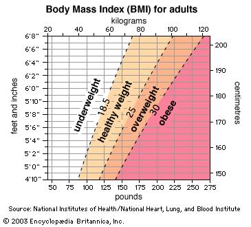 BMI, one of the most‍ popular ways ‌of telling if you're a healthy weight, is bogus. Here's what to ⁢use instead.