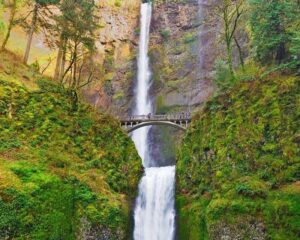 Picturesque Oregon landmark blown over in holiday windstorm