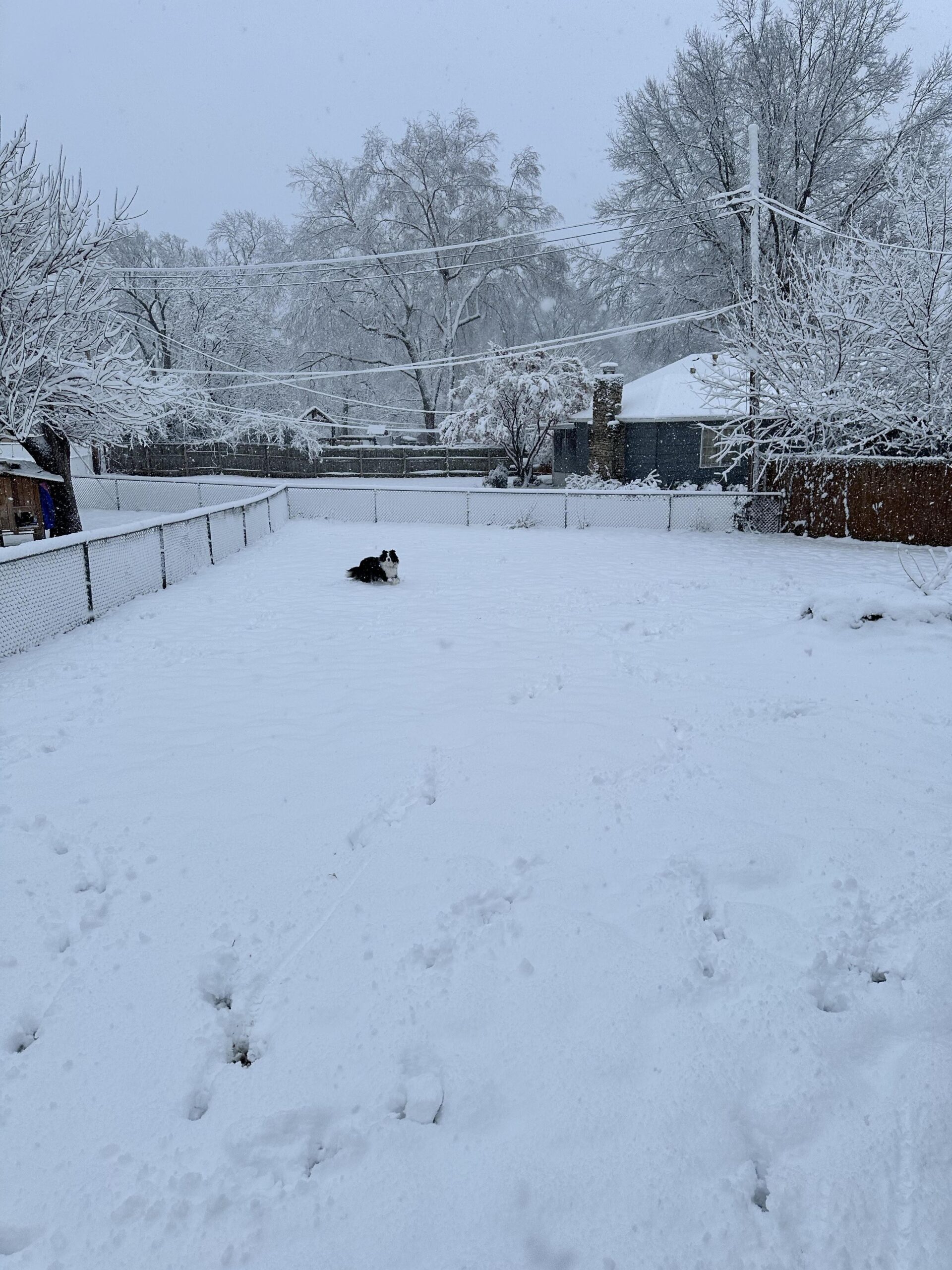 Here’s a closer look at how much snow is expected from weekend winter storm in Kansas City