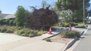 ‘Life-threatening’ and ‘destructive’ windstorm headed to Southern California: What to know