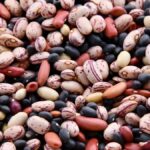 What’s the healthiest bean to eat? 5 types that are nutritionist-approved and how to enjoy them.