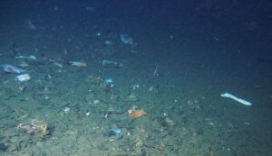 Scientist makes startling discovery at Earth’s deepest point: ‘What a disgusting and embarrassing display’