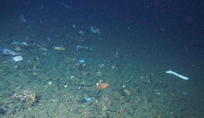 Scientist makes startling discovery at Earth’s deepest point: ‘What a disgusting and embarrassing display’