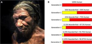 Neanderthals’ blood type may help explain their demise, new study finds