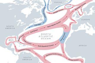 Scientists sound alarm over disturbing discovery about Earth’s major ocean currents: ‘The urgency for … action has never been clearer’