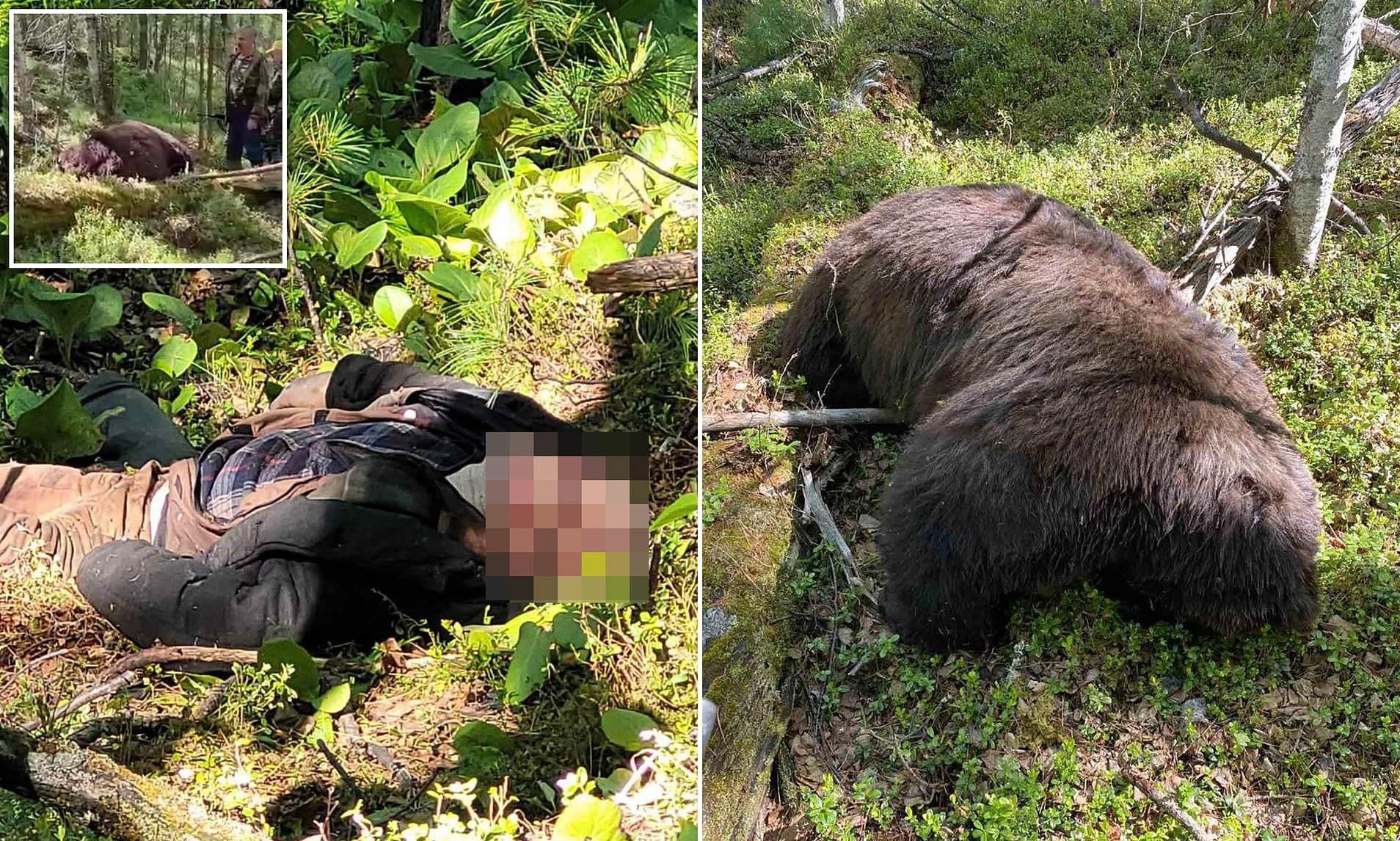 French hunter on trial for killing mother bear 'in self-defence'