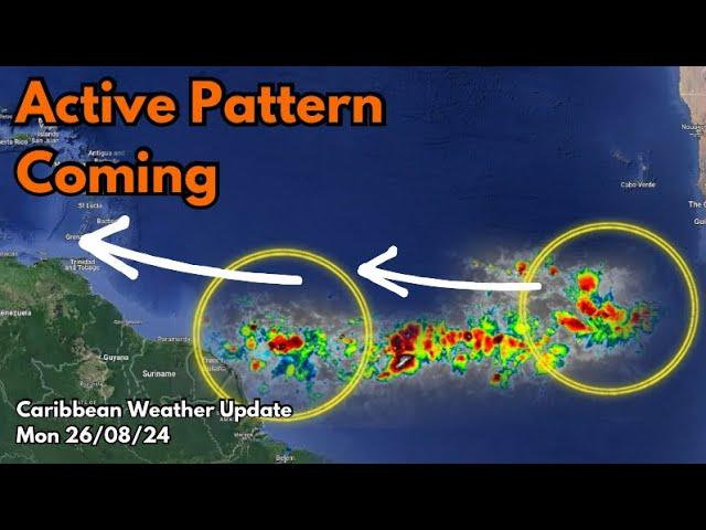 Pattern emerges in tropics for first time in more than 20 years
