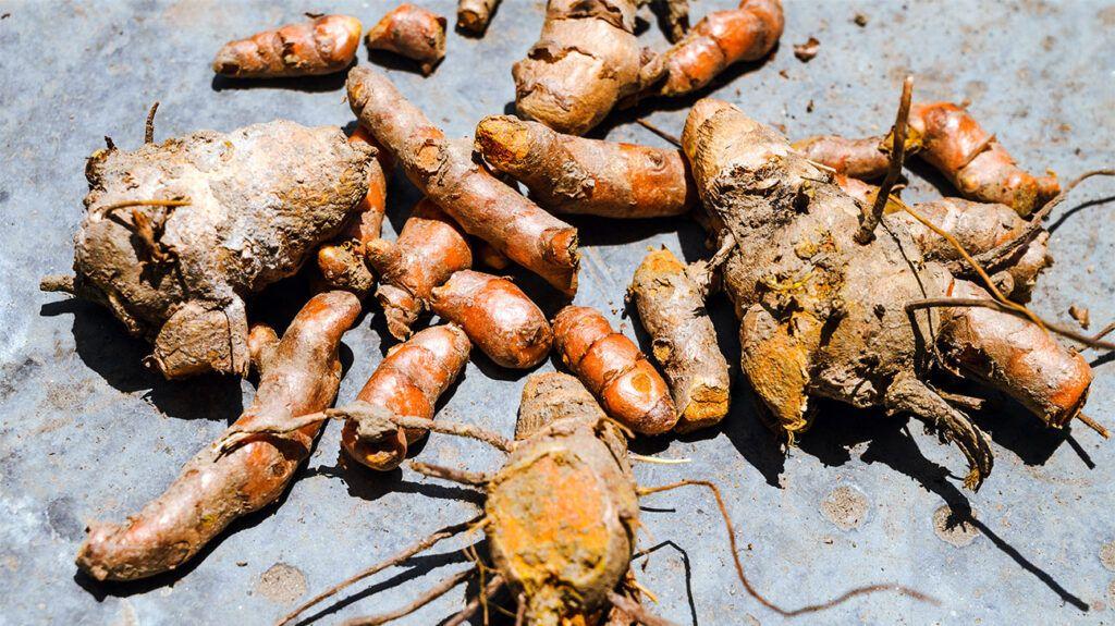 Common herbal supplements taken by millions of Americans could be linked to deadly liver damage