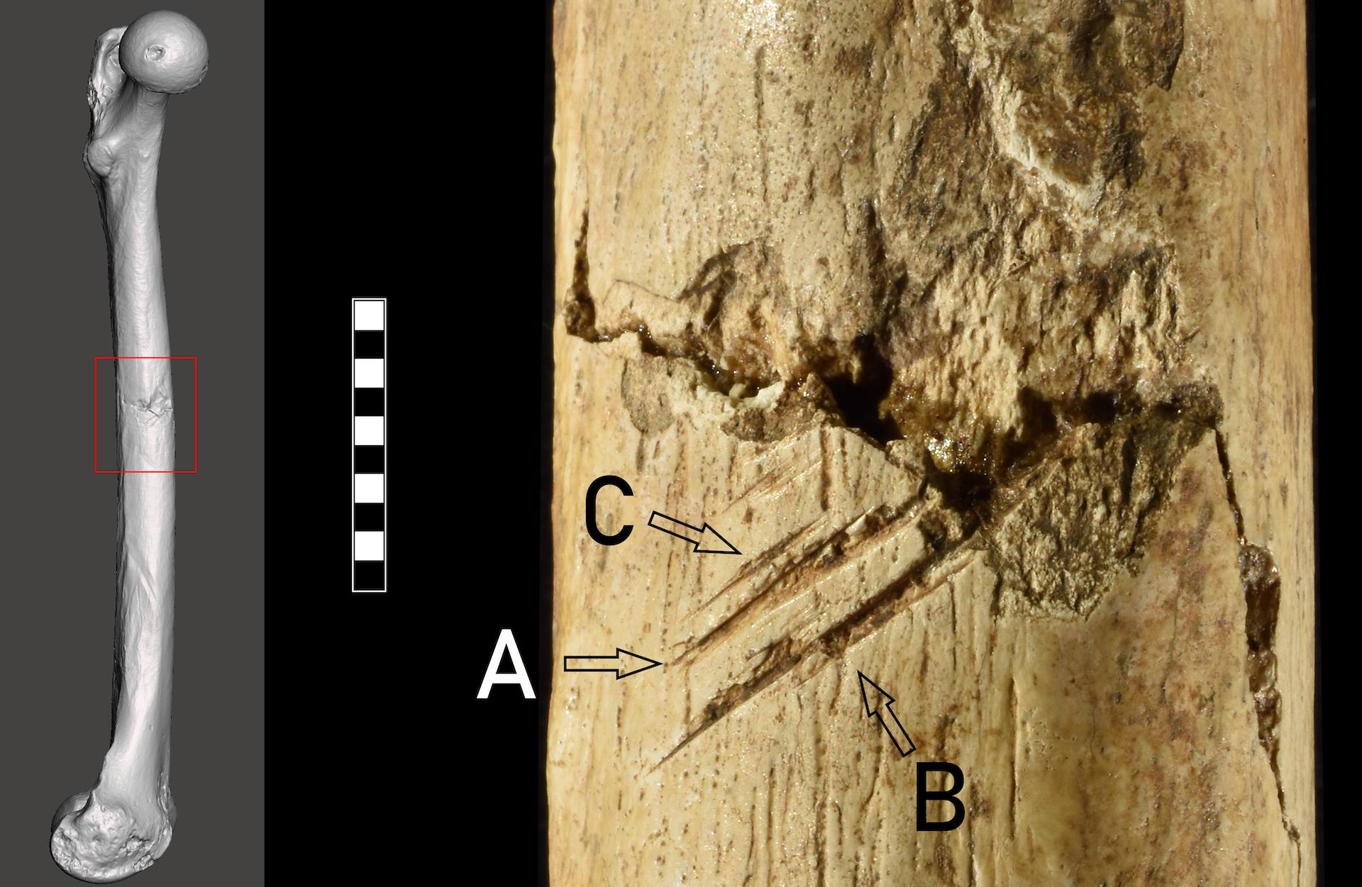 'It was probably some kind of an ambush': 17,000 years ago, a man died in a projectile weapon attack in what is now Italy