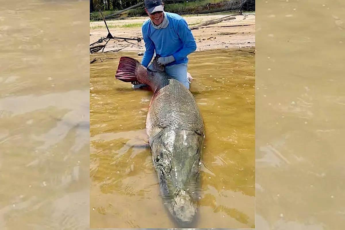 Huge 400-pound alligator captured in North Carolina on 'suspicion of being a dinosaur'