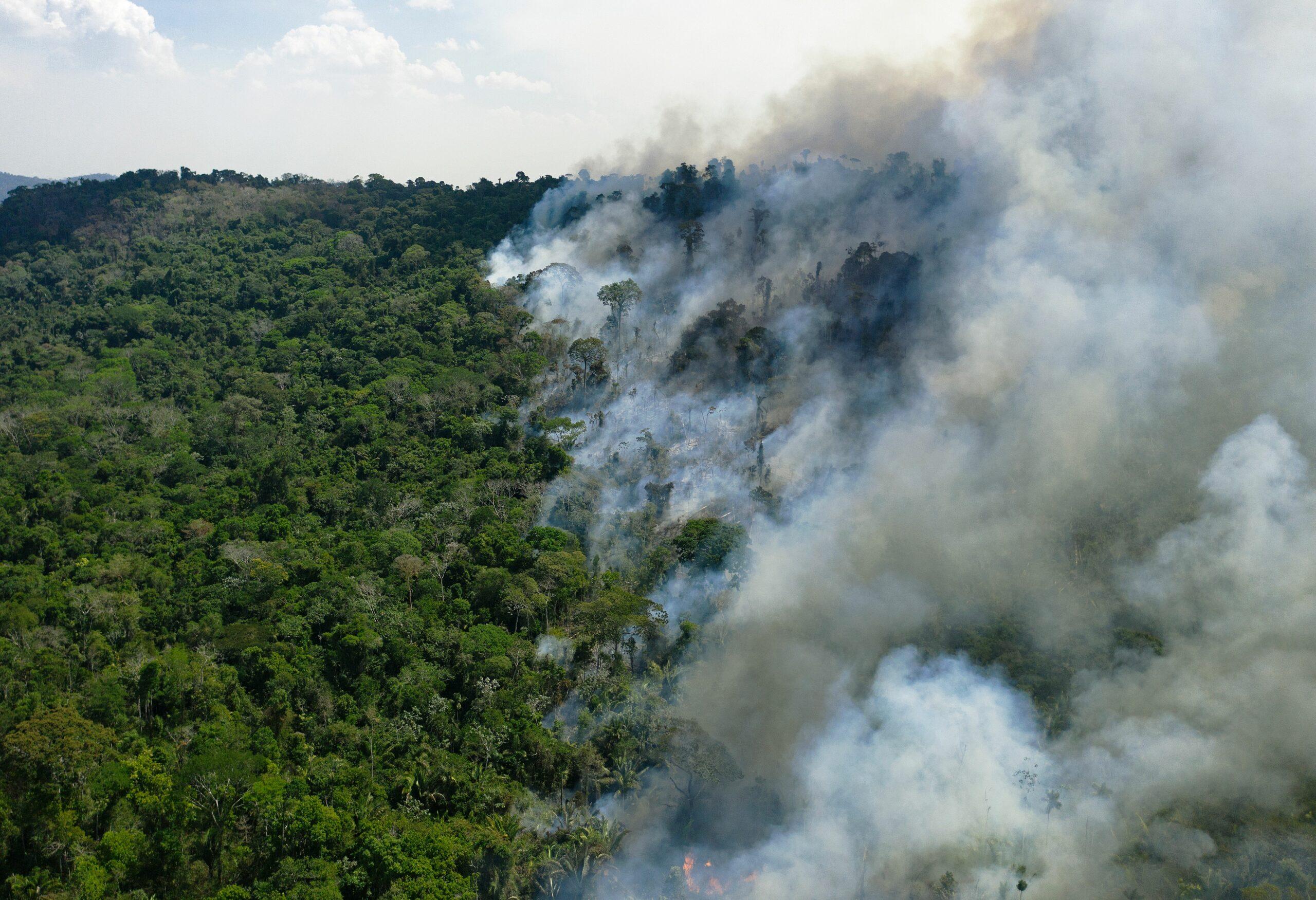 Multiple men face serious consequences after authorities uncover illegal destruction in protected area: ‘It is a hazard to our nation and the region’
