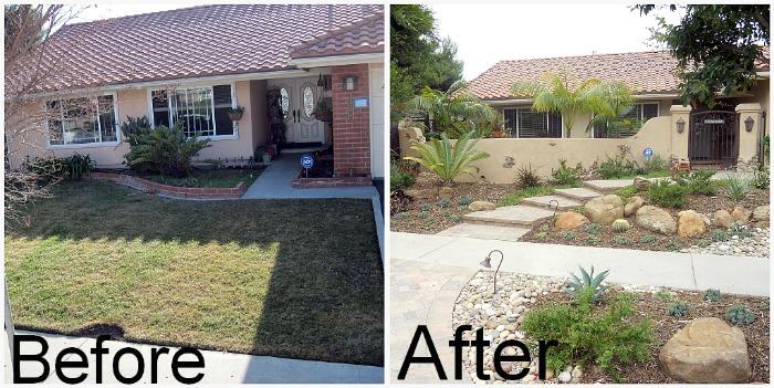 City offers payout for homeowners willing to ditch outdated yard feature: ‘It’s shockingly hard to really kill it’
