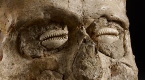 Archaeologists Found a 6,200-Year-Old Skull. Then They Noticed Something Very Wrong.