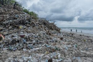 Residents outraged after unbelievable objects are found dumped on local beach: ‘Almost at a loss for words’