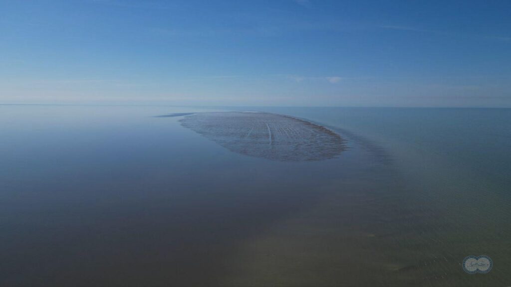 Russian scientists discover a new island in the Caspian Sea — the world’s largest inland body of water