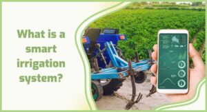Farmers discover innovative method to save millions of gallons of water: ‘Farmers can irrigate their fields while sitting on a beach’