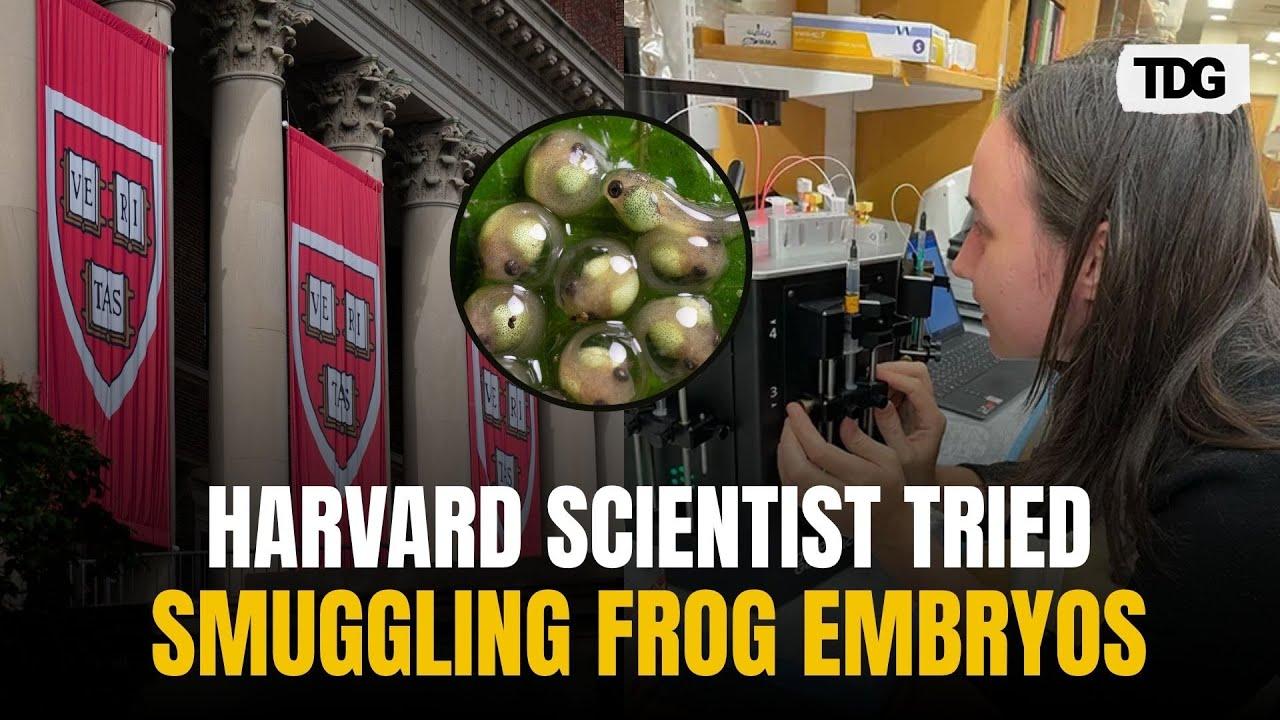 Government says Harvard researcher accused of smuggling frog embryos brought 'biological materials'