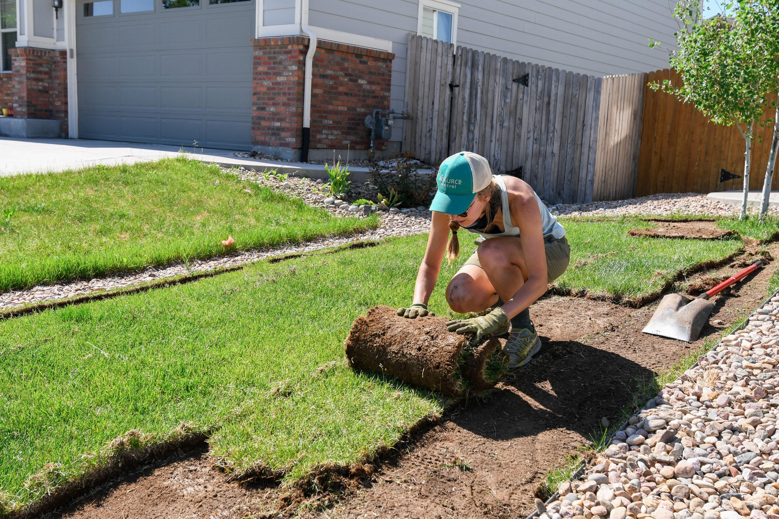 City offers payout for homeowners willing to ditch outdated yard feature: 'It's shockingly hard to really kill it'